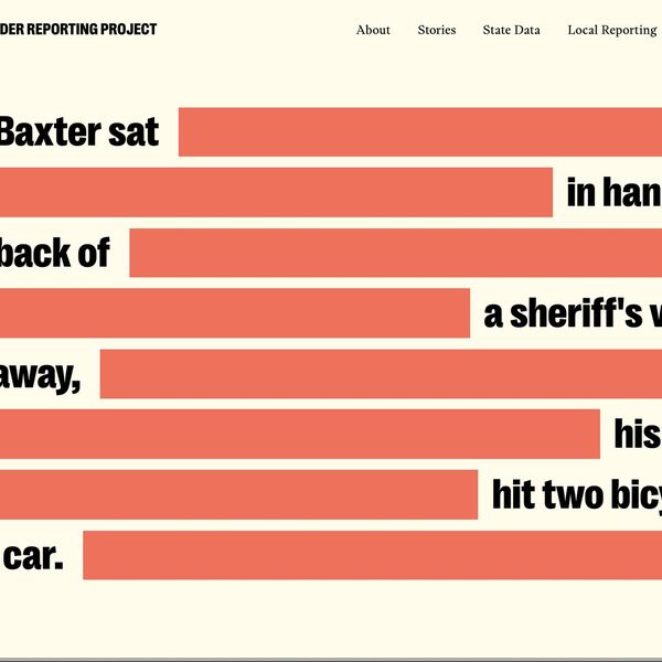 Felony Murder Reporting Project